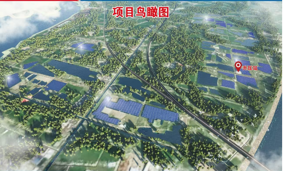 鸟瞰.png