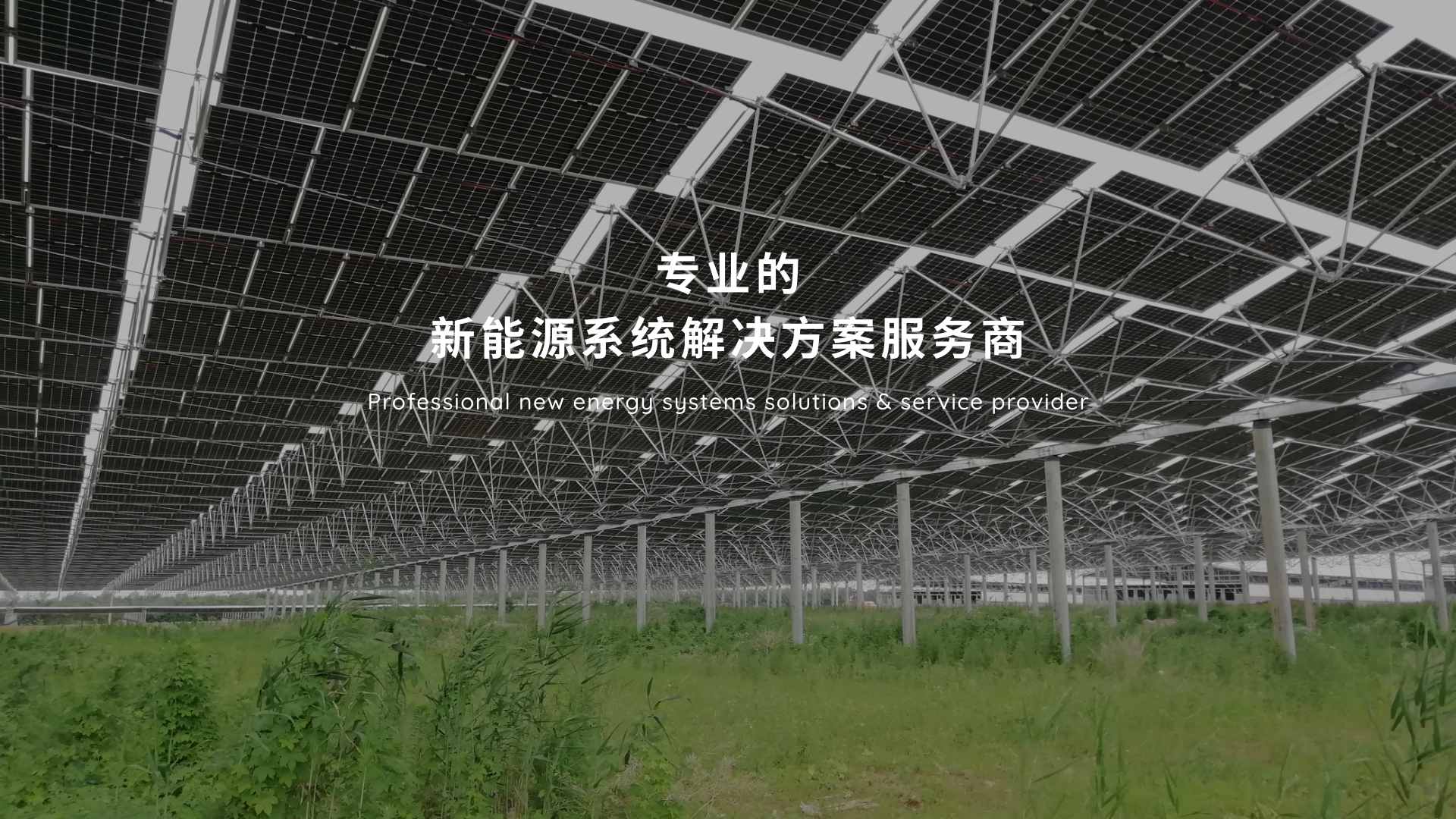 专业的新能源系统解决方案服务商