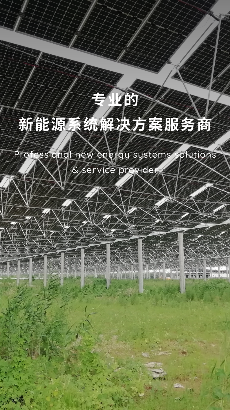 专业的新能源系统解决方案服务商