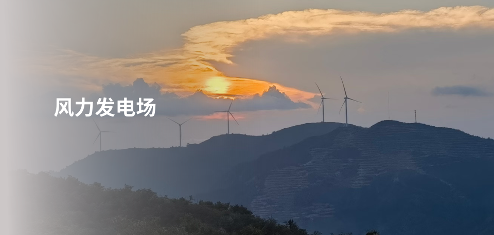 项目案例