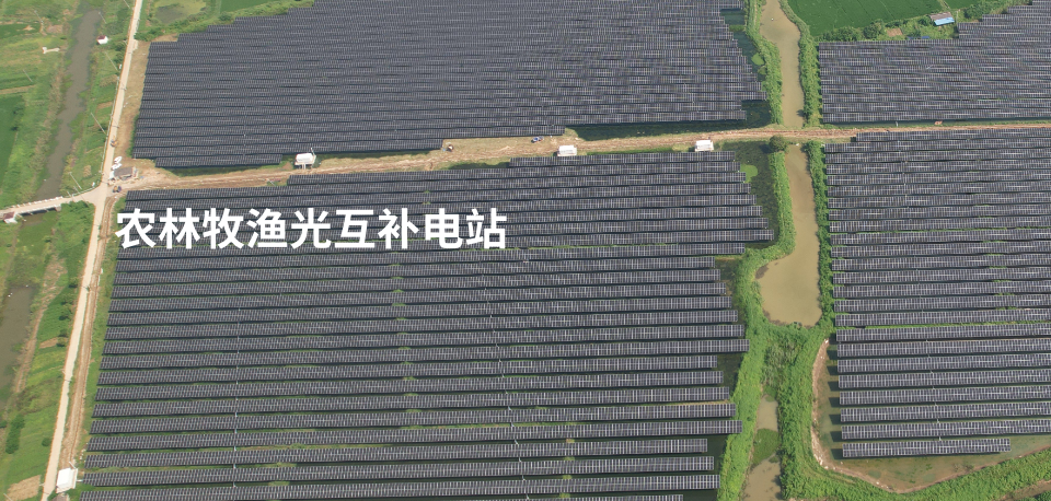 项目案例