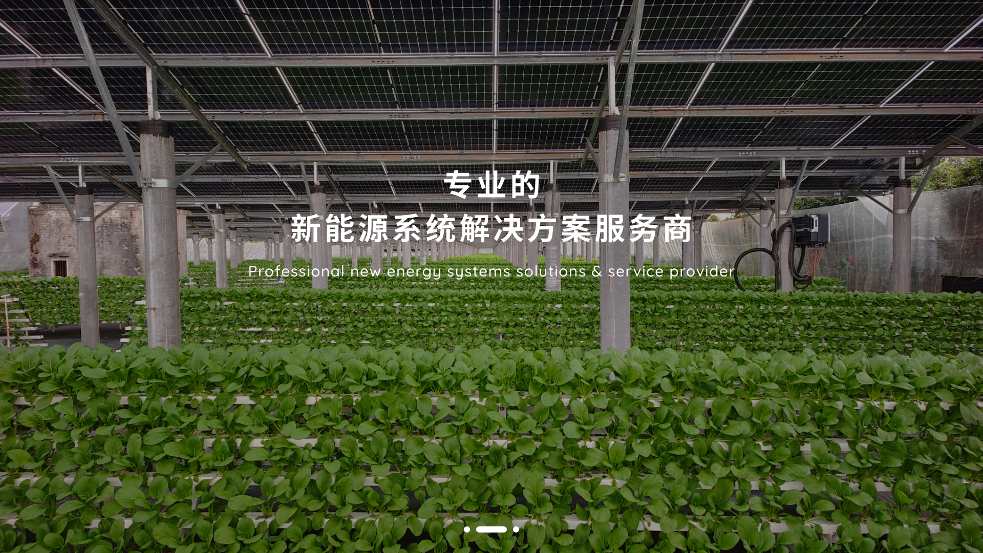 专业的新能源系统解决方案服务商