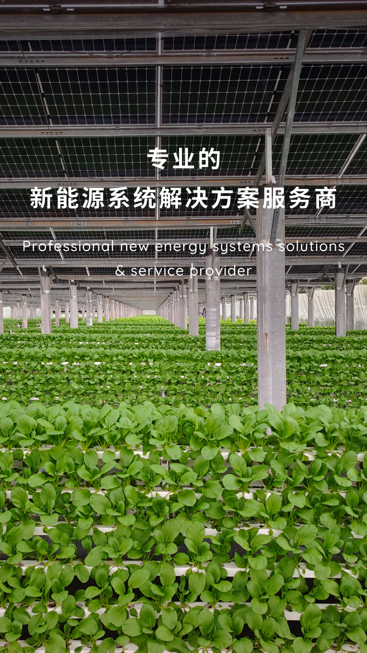 专业的新能源系统解决方案服务商