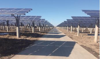 信义天津滨海滩涂174MW光伏电站